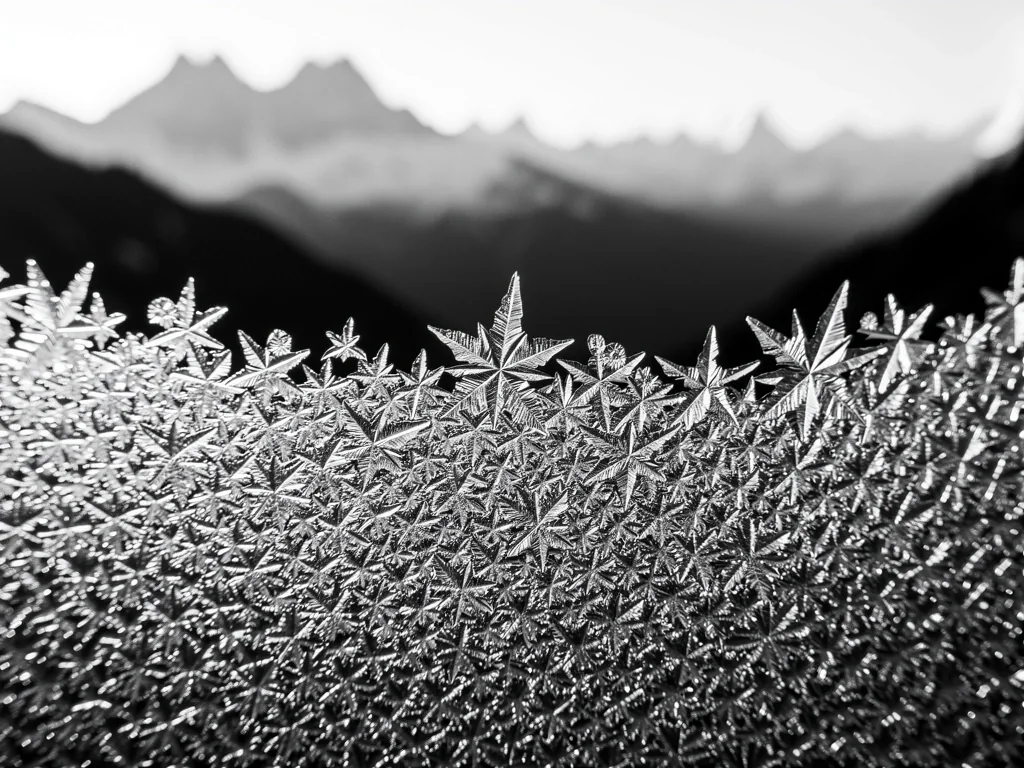 Frostige Strukturen